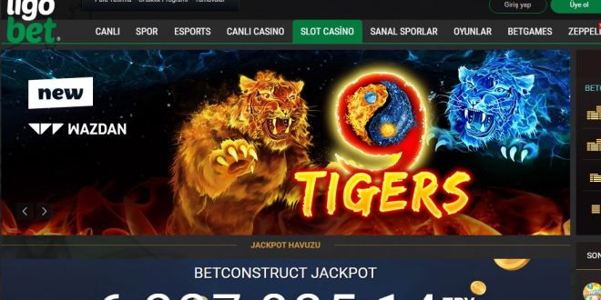 Ligobet Para Çekme